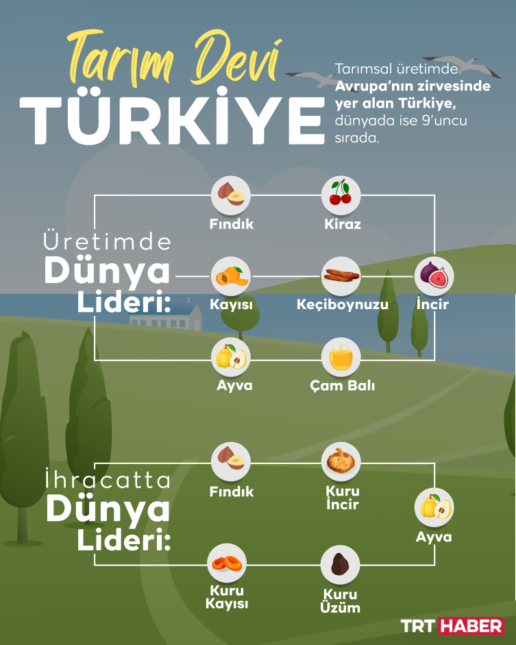 Tarım devi Türkiye